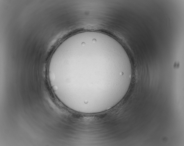 X0000111180686200907011032