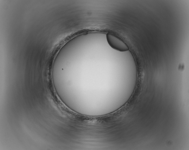 X0000111180688200907011032