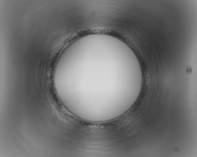 X0000111180690200907011032