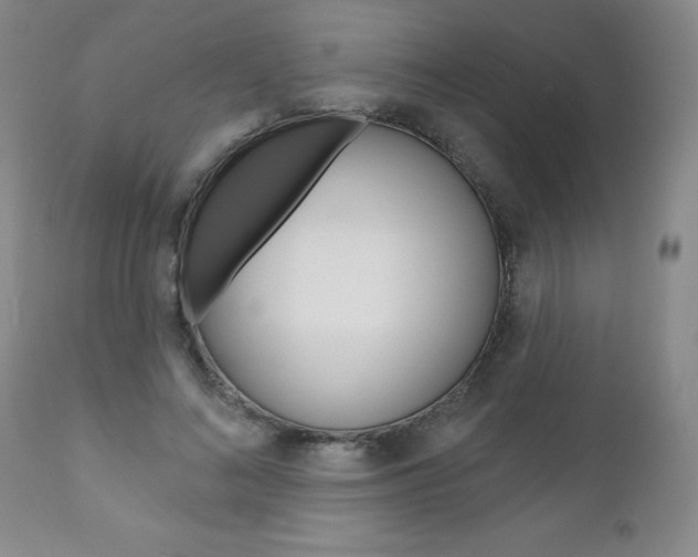 X0000111180692200907011032