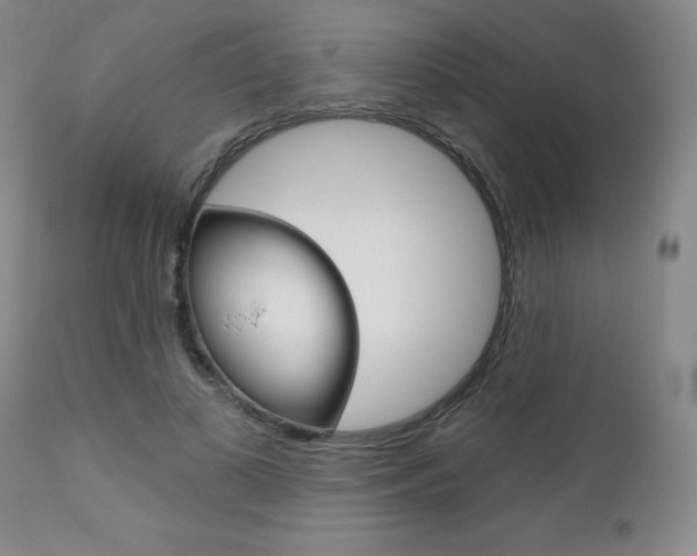 X0000111180693200907011032