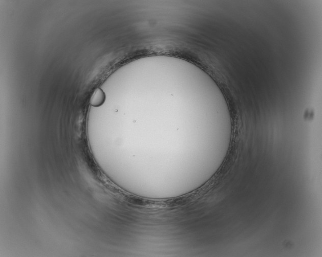 X0000111180694200907011032