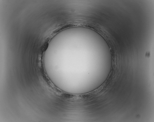 X0000111180696200907011032