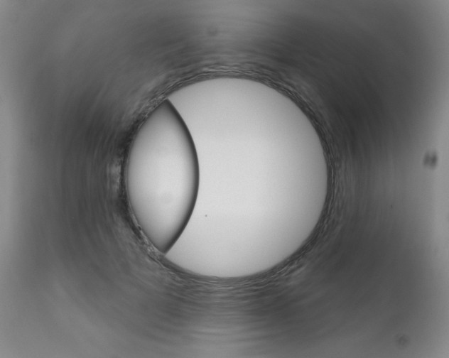 X0000111180697200907011032