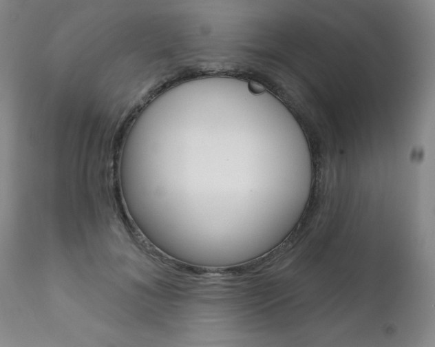 X0000111180700200907011032