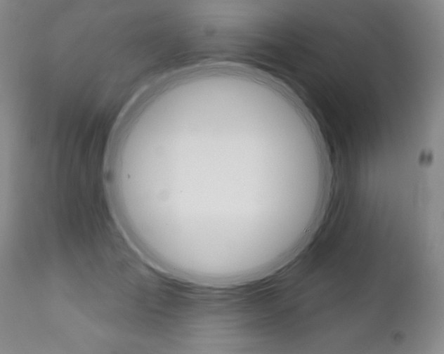 X0000111180701200907011032