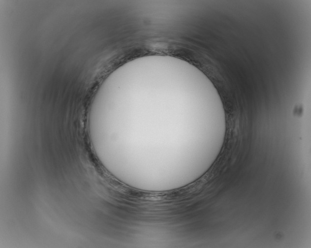 X0000111180702200907011032