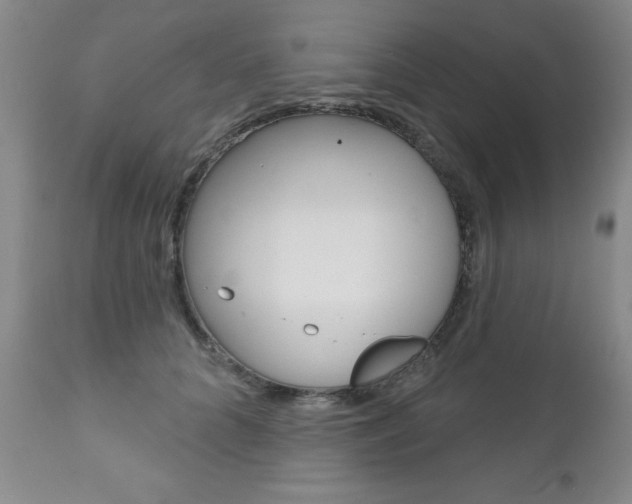 X0000111180704200907011032