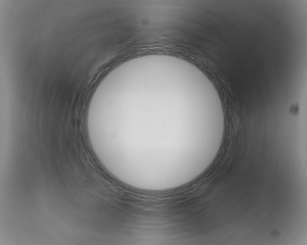 X0000111180705200907011032