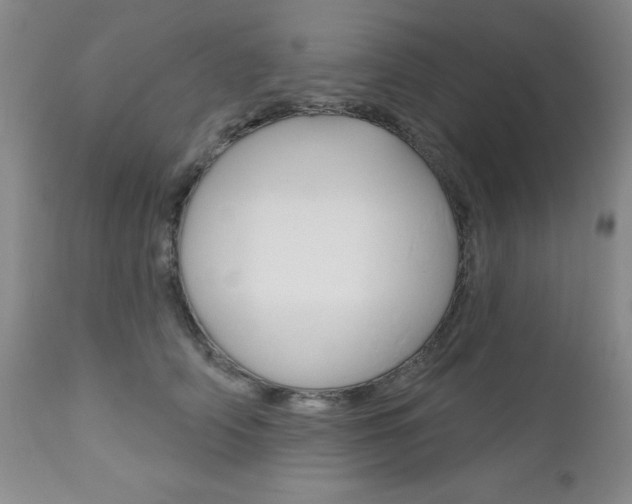 X0000111180706200907011032
