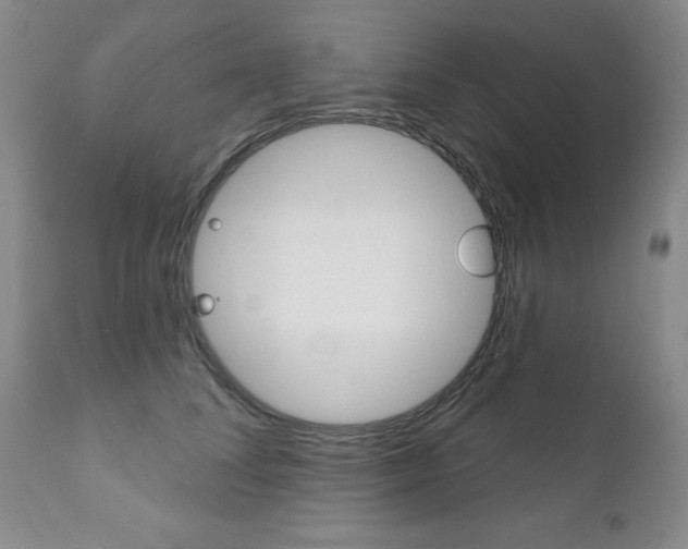 X0000111180708200907011032