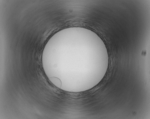 X0000111180709200907011032