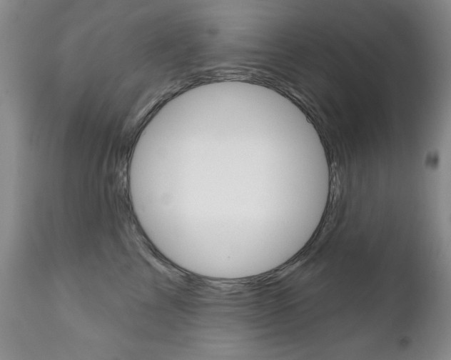 X0000111180713200907011032
