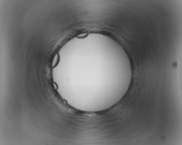 X0000111180715200907011032