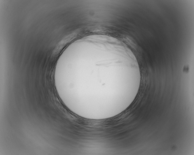 X0000111180717200907011032