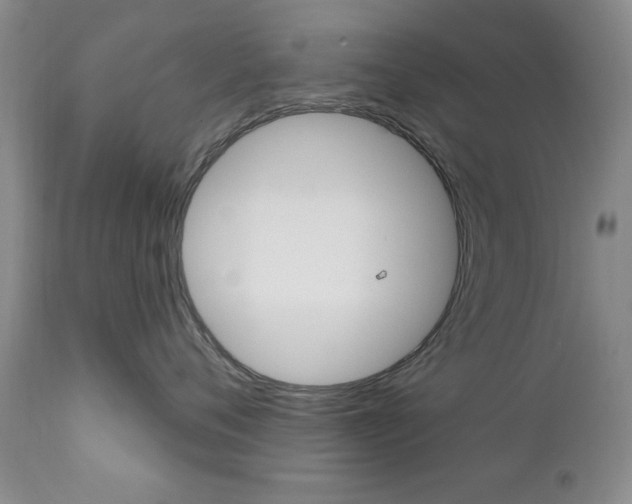 X0000111180720200907011032