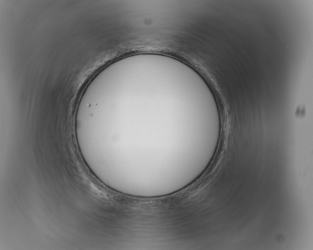 X0000111180721200907011031