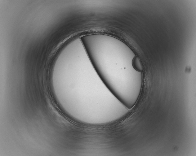X0000111180722200907011031