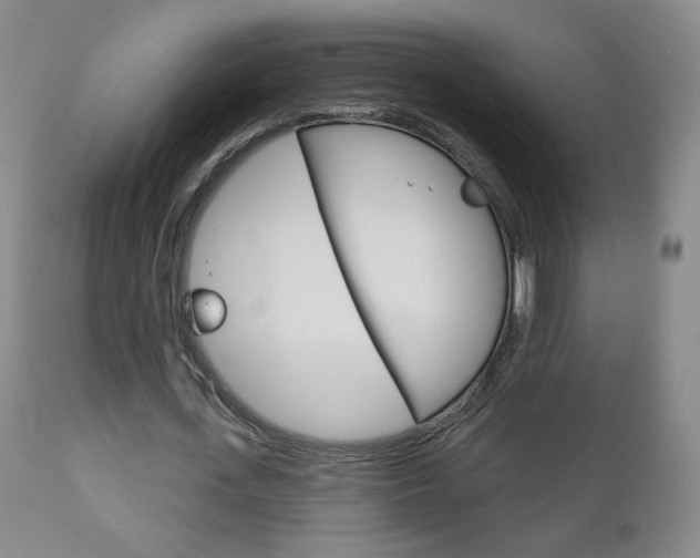 X0000111180723200907011031