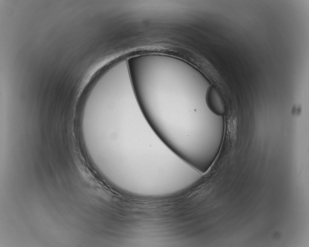 X0000111180724200907011031
