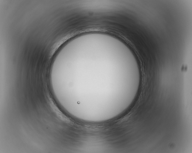 X0000111180725200907011031
