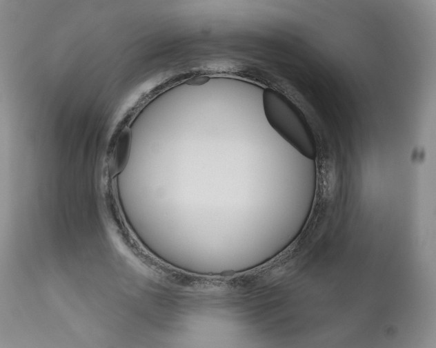 X0000111180726200907011031