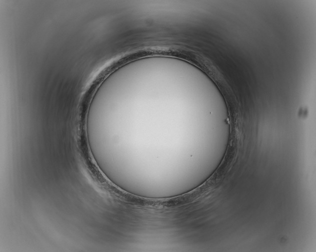 X0000111180728200907011031