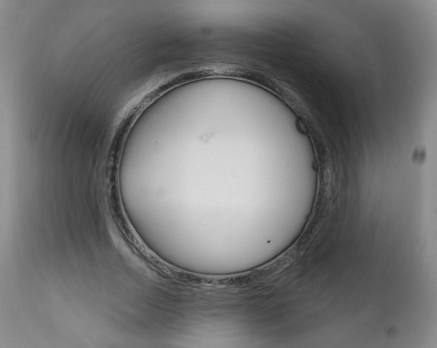 X0000111180730200907011031