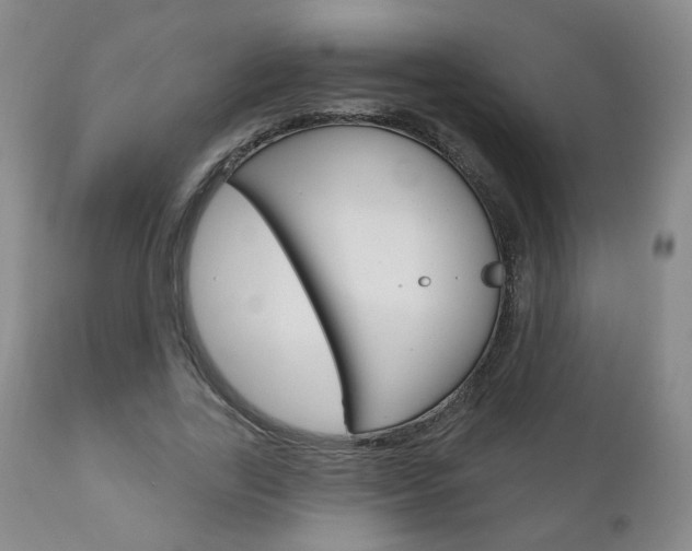 X0000111180731200907011031