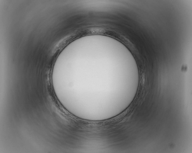 X0000111180733200907011031