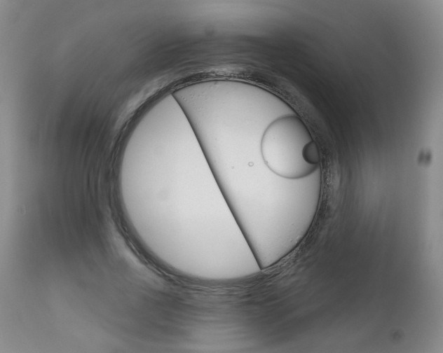 X0000111180734200907011031