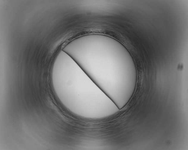 X0000111180735200907011031
