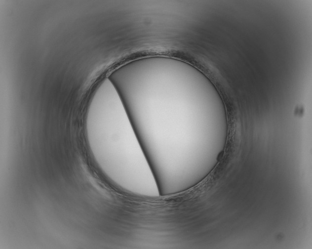 X0000111180736200907011031