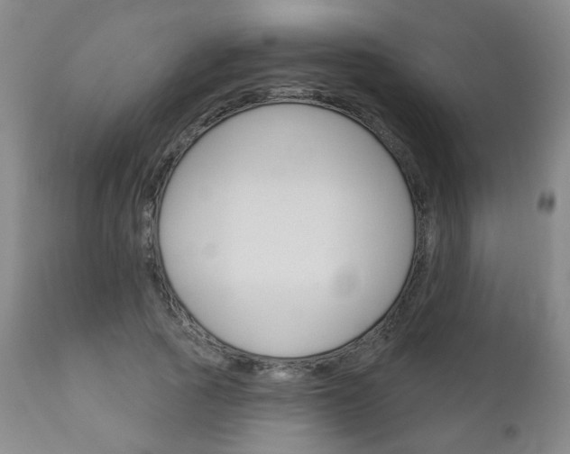 X0000111180737200907011031
