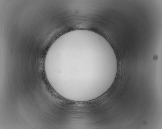 X0000111180741200907011031