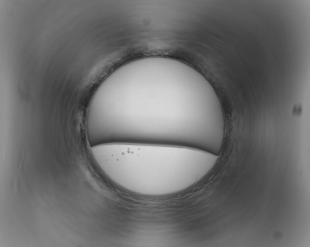 X0000111180742200907011031