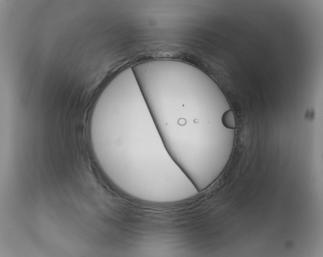 X0000111180743200907011031