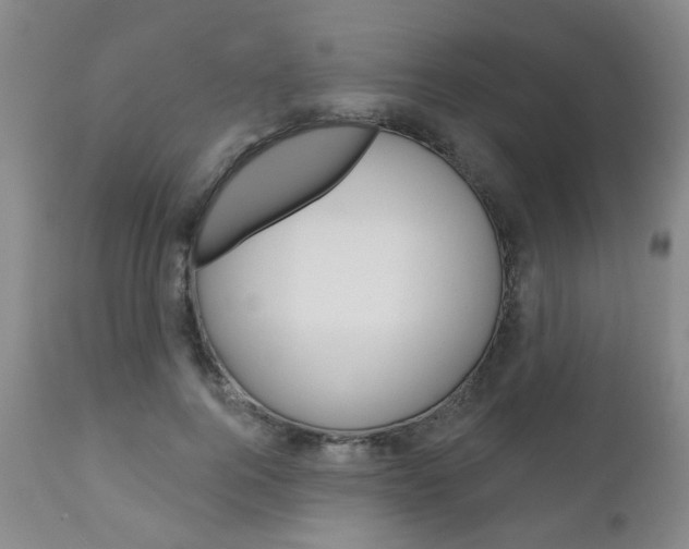 X0000111180744200907011031