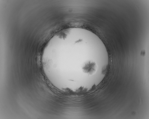 X0000111180745200907011031