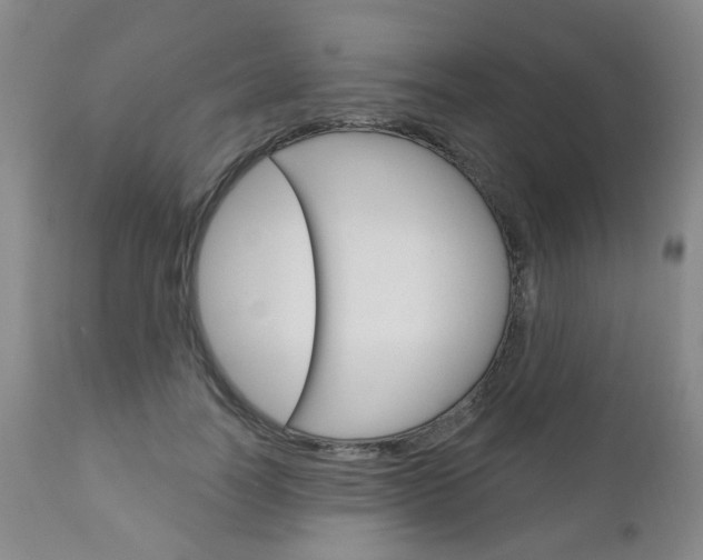 X0000111180746200907011031