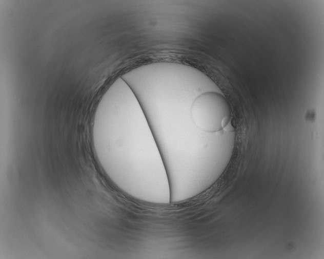 X0000111180751200907011032