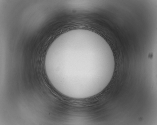 X0000111180752200907011032