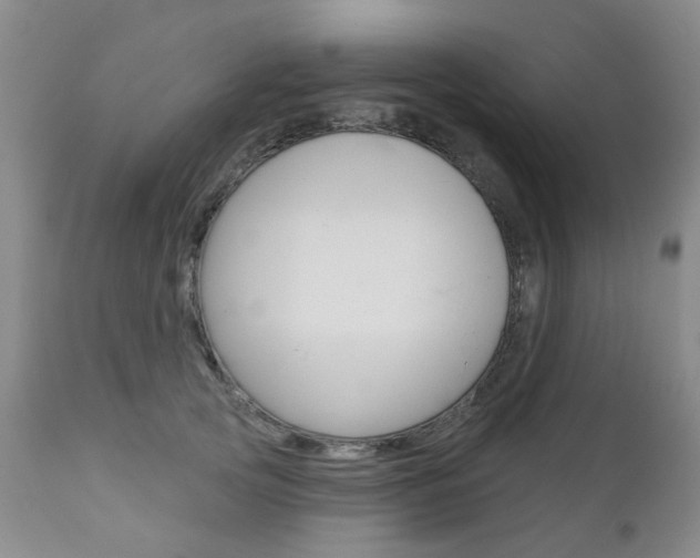 X0000111180753200907011032
