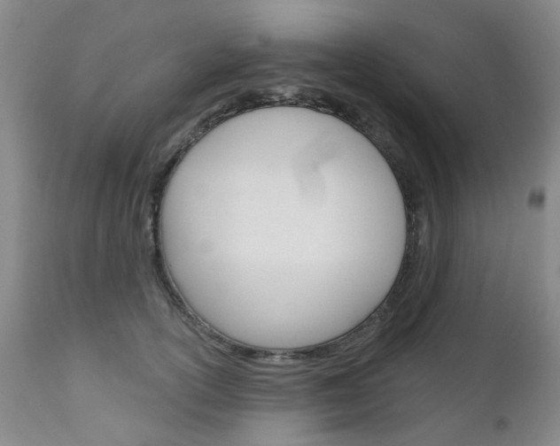 X0000111180754200907011032