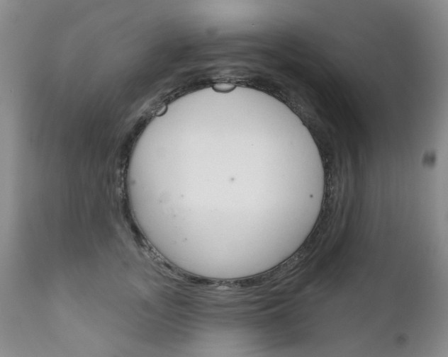 X0000111180755200907011032