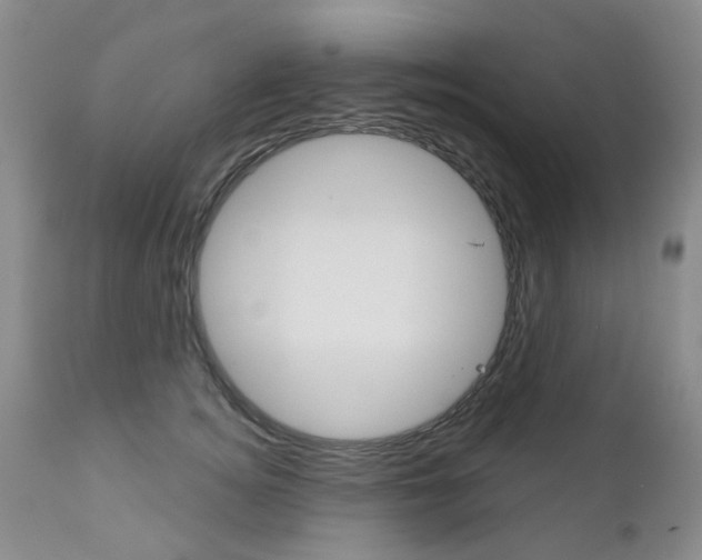 X0000111180756200907011032