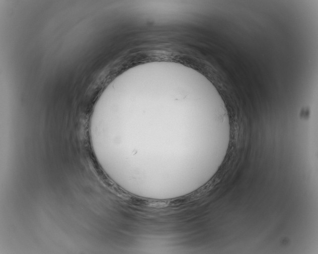 X0000111180757200907011032