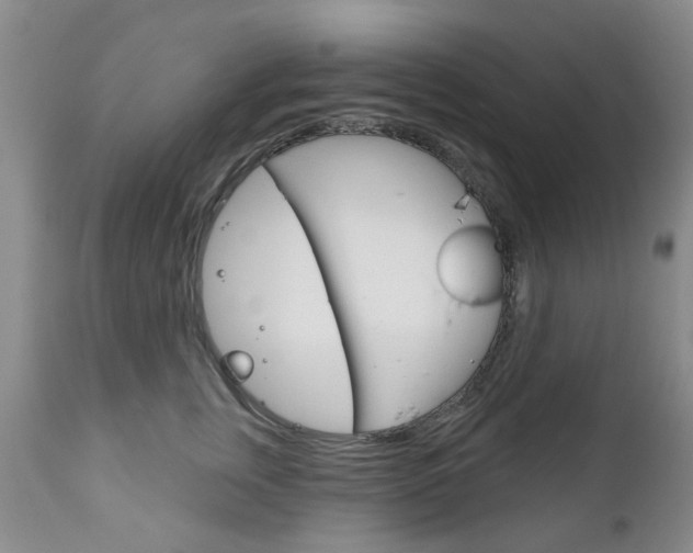 X0000111180759200907011032