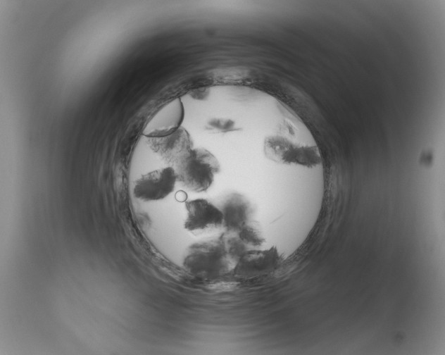 X0000111180761200907011032