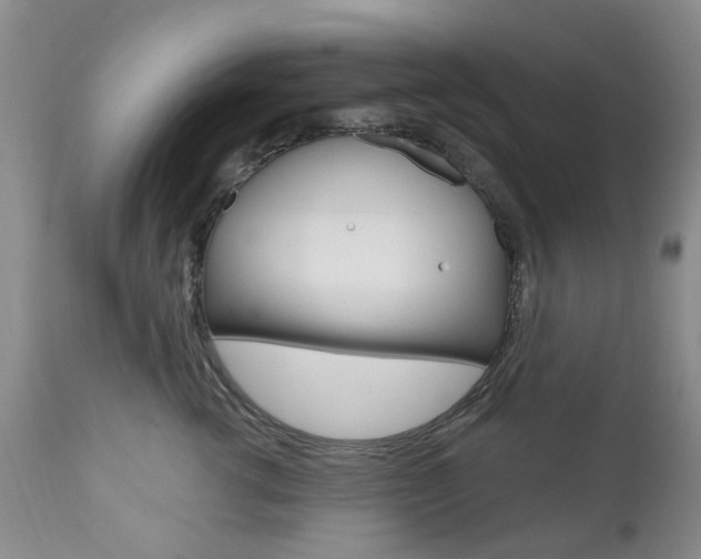 X0000111180762200907011032